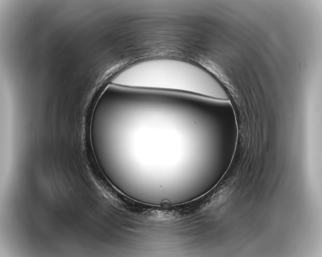 X0000087060442200704180940