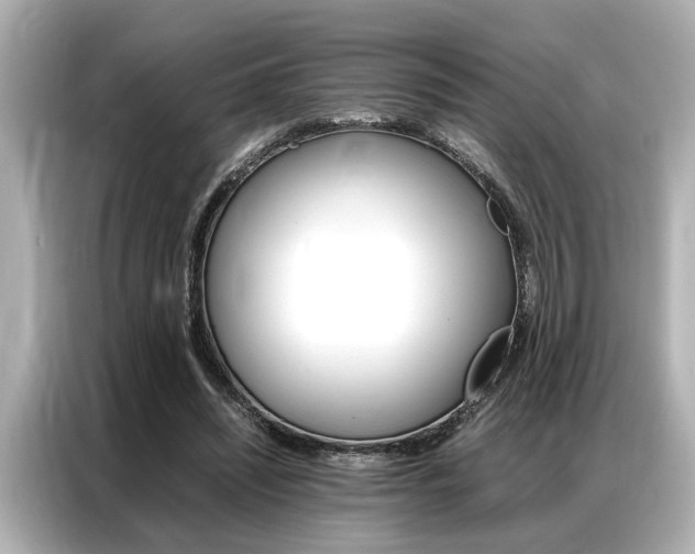 X0000087060444200704180940