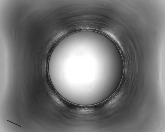 X0000087060445200704180941