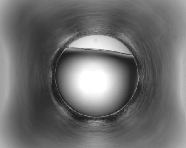 X0000087060448200704180941