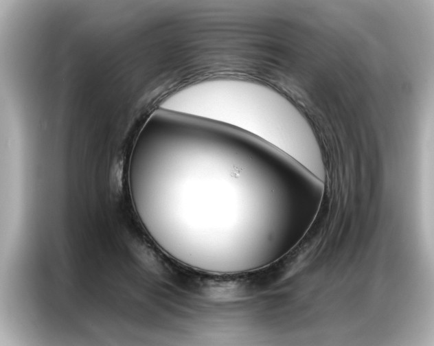 X0000087060454200704180941