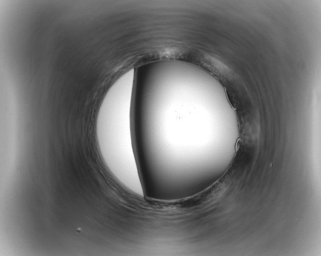 X0000087060456200704180941