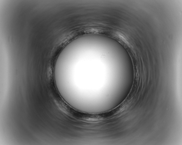 X0000087060459200704180941