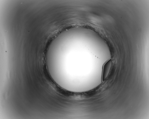 X0000087060464200704180941