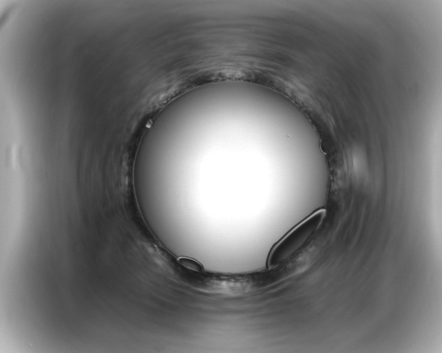 X0000087060466200704180941