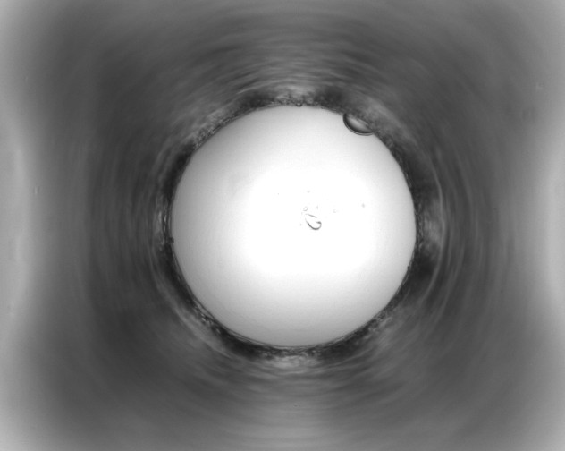 X0000087060468200704180941