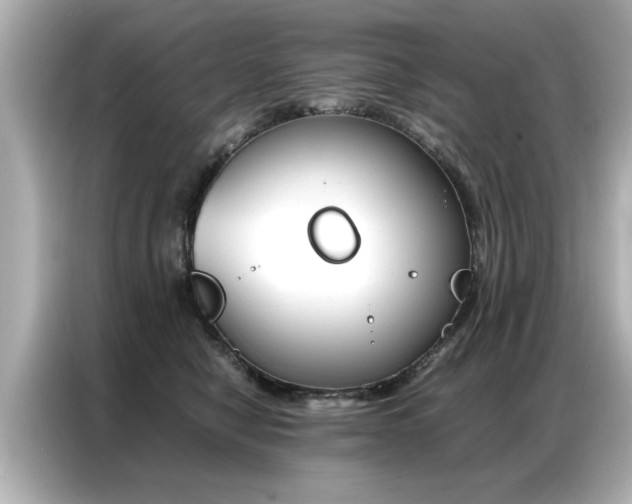 X0000087060470200704180941