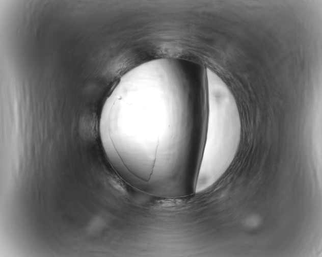 X0000087060474200704180941