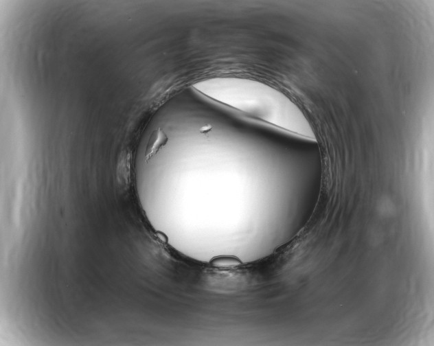 X0000087060475200704180941