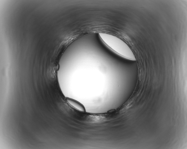X0000087060477200704180941