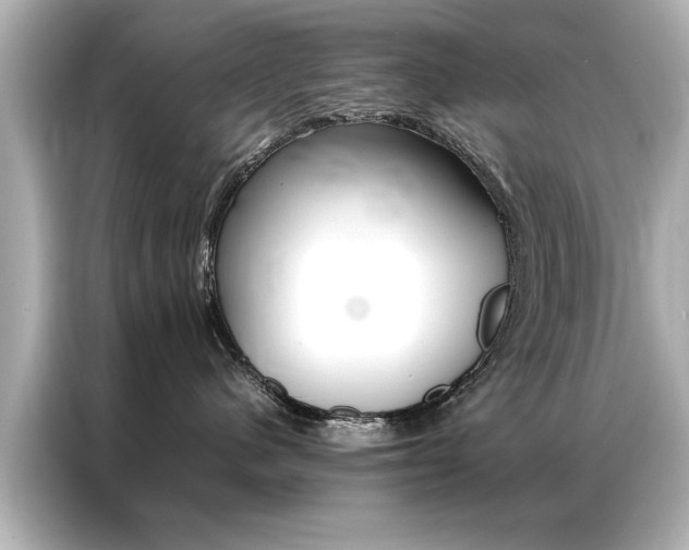 X0000087060480200704180941