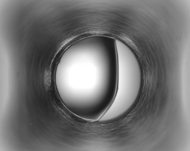 X0000087060484200704180940