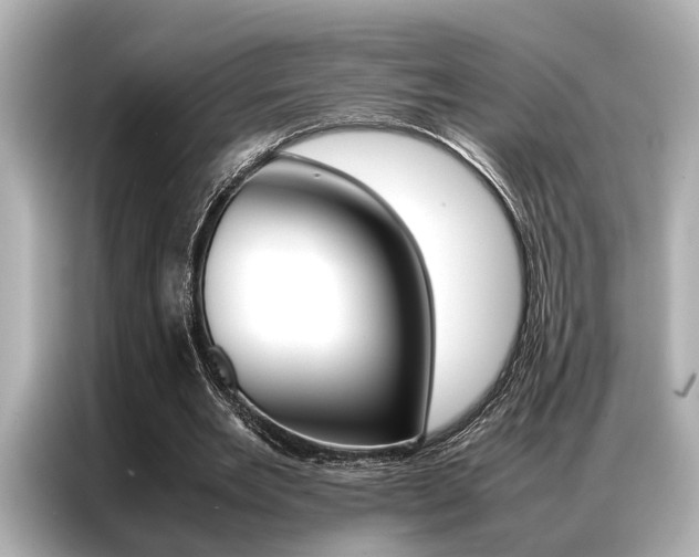 X0000087060485200704180940