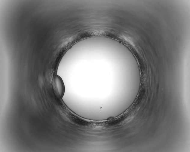 X0000087060495200704180940