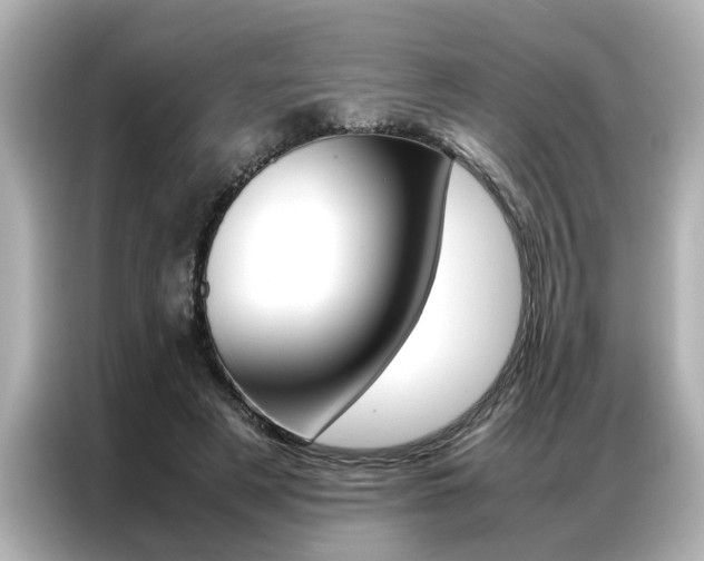 X0000087060497200704180940