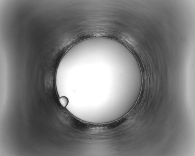 X0000087060499200704180940
