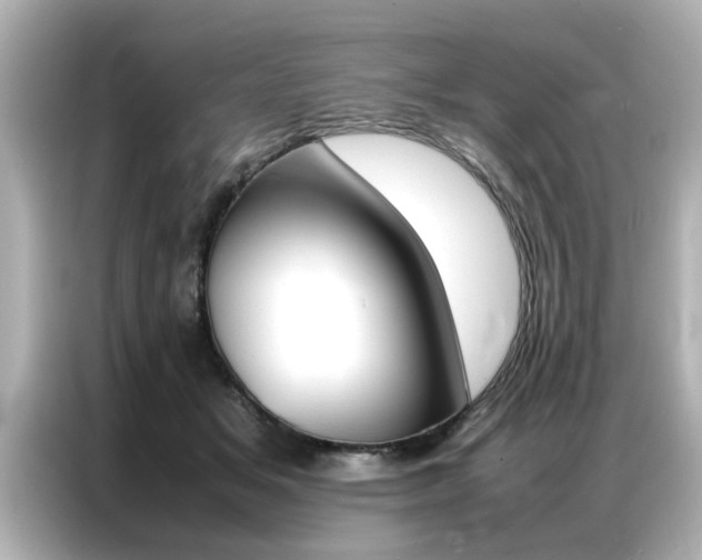 X0000087060509200704180940