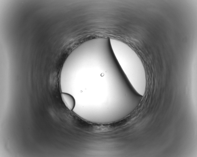 X0000087060511200704180940