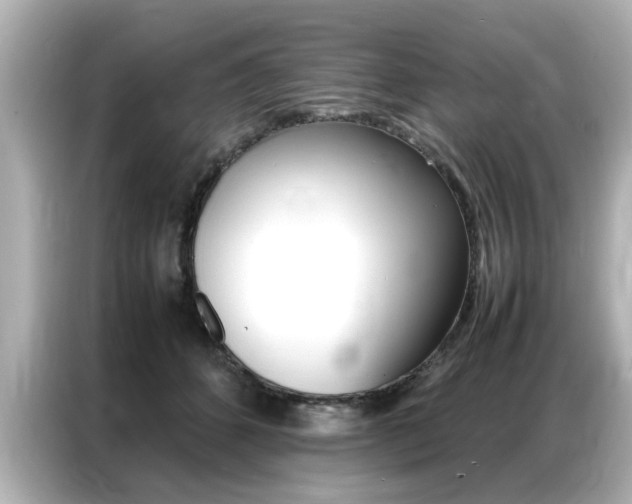 X0000087060512200704180940