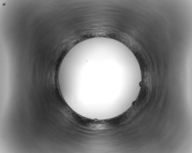 X0000087060514200704180940
