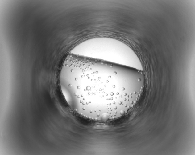 X0000087060519200704180940