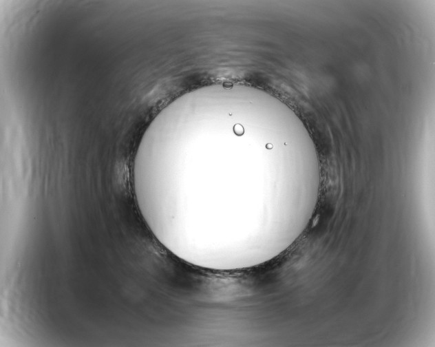 X0000087060523200704180940
