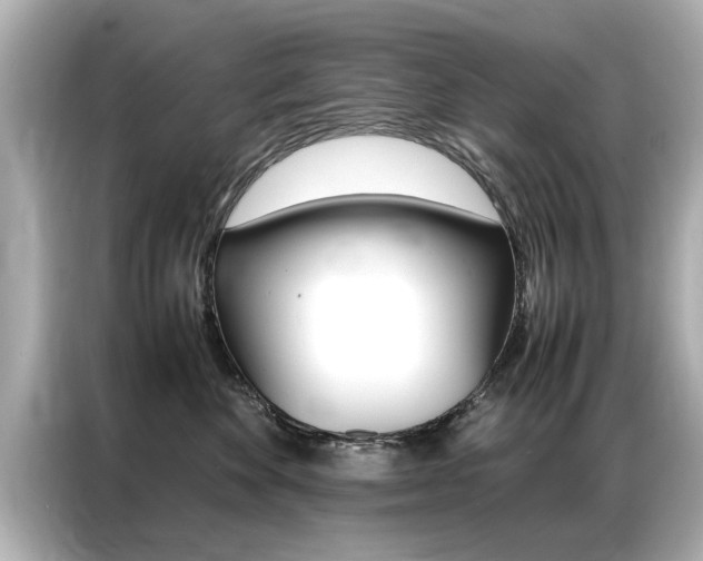 X0000087060524200704180940