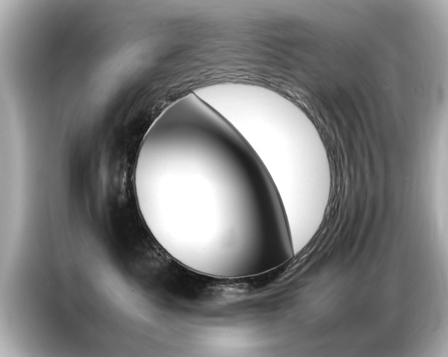 X0000087060525200704180940