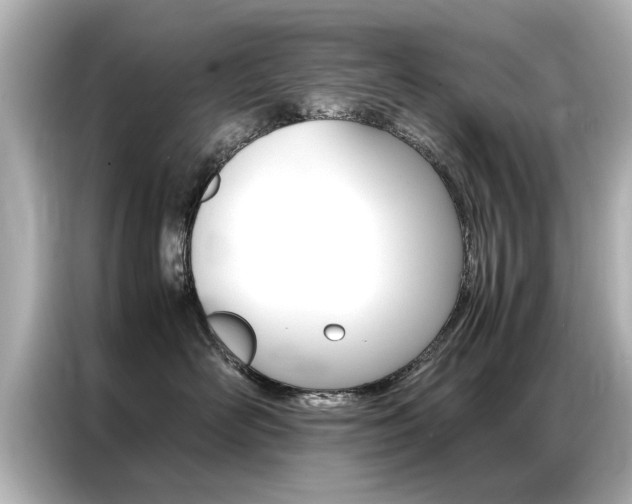 X0000087060526200704180940