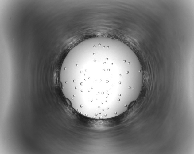 X0000087060527200704180940