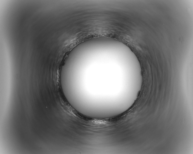 X0000087060528200704180940