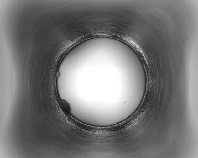 X0000087060529200704180939