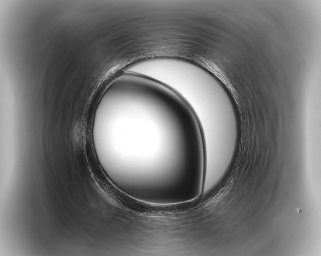 X0000087060530200704180939