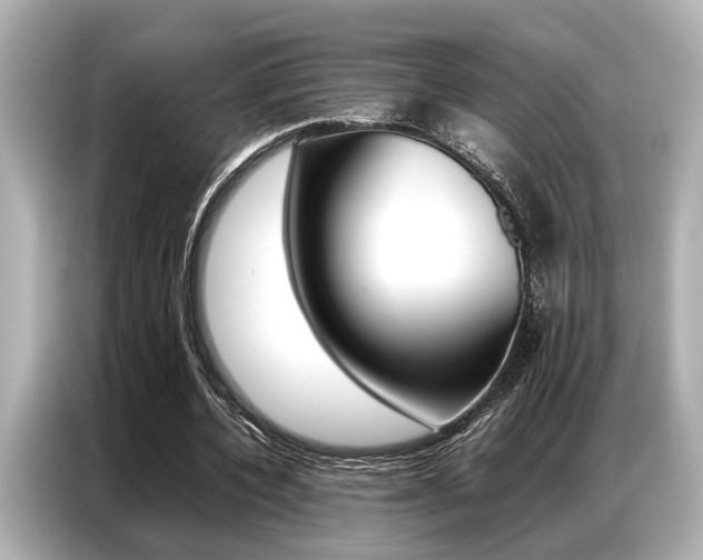 X0000087060532200704180939