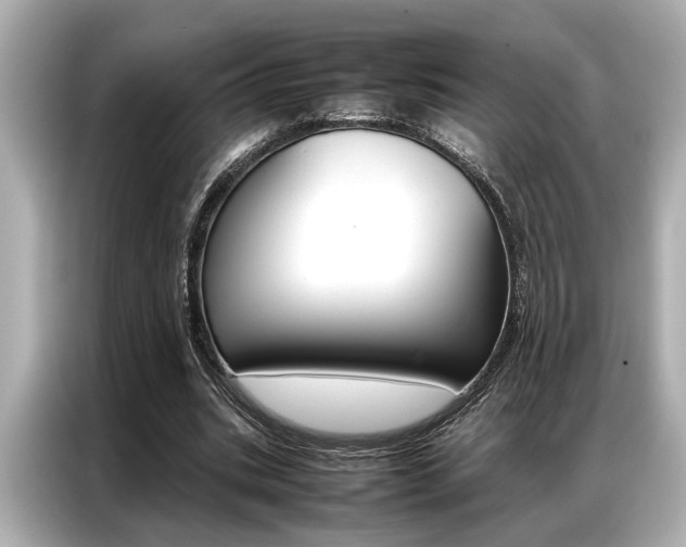 X0000087060535200704180939