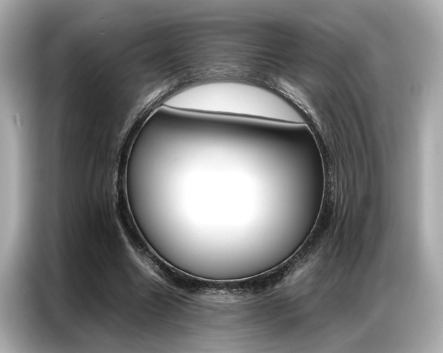 X0000087060538200704180939