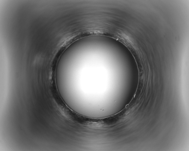 X0000087060548200704180939