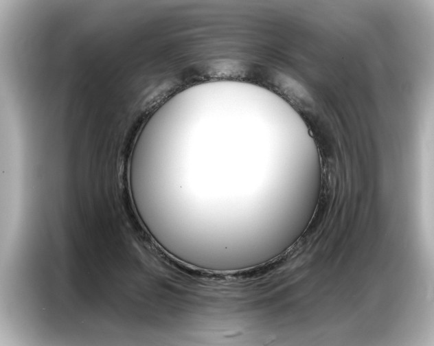 X0000087060550200704180939