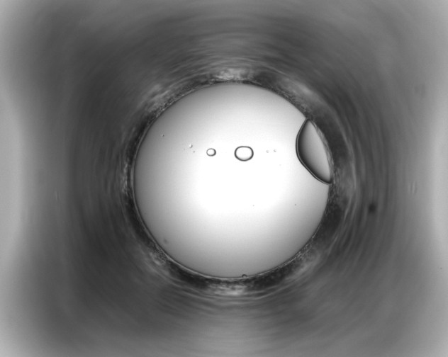 X0000087060554200704180939