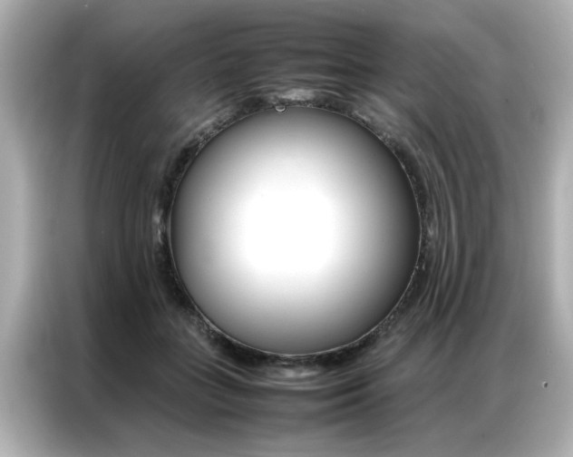 X0000087060555200704180939