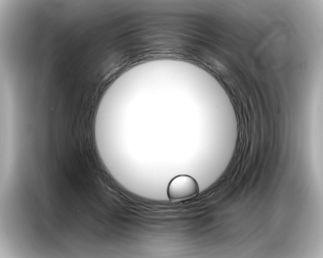 X0000087060556200704180939