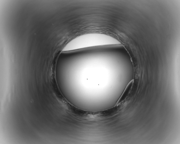 X0000087060560200704180939