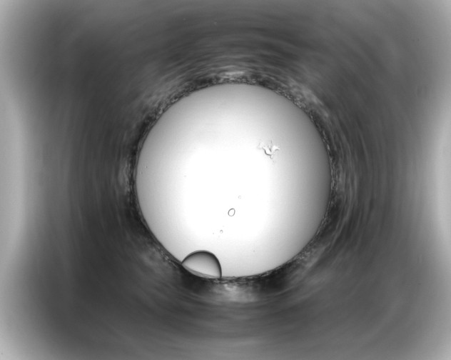 X0000087060565200704180940