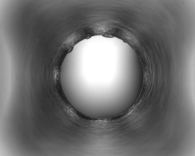 X0000087060574200704180940