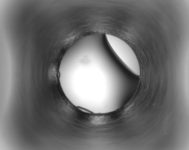 X0000087060575200704180940