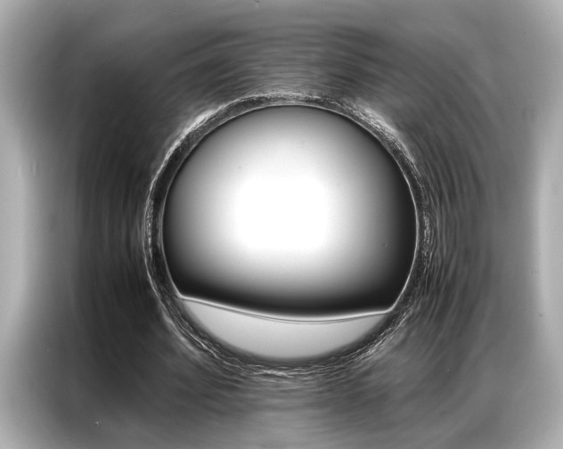 X0000087060580200704180939