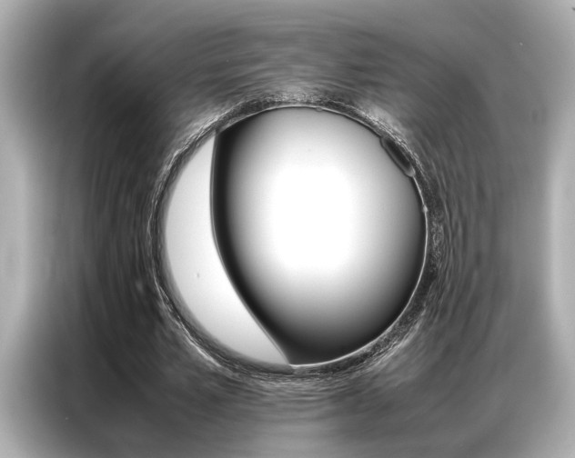 X0000087060581200704180939