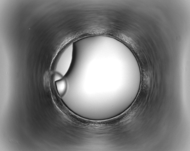 X0000087060582200704180939
