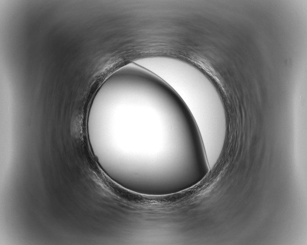 X0000087060585200704180939