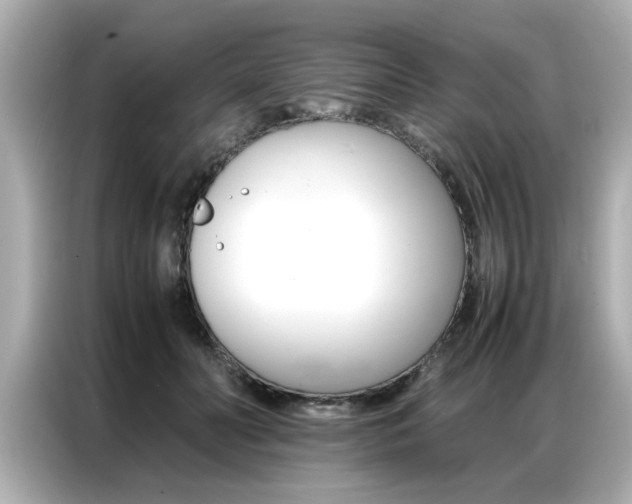 X0000087060606200704180938